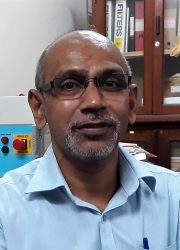 Prof. I M K Fernando