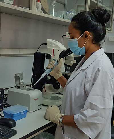 Tropical Medicine Research Center (TMRC) Project – Support Staff Tropical Medicine Research Center (TMRC) Project – Support Staff